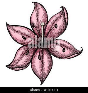 lily ha dipinto in stile grafico punti e linee. Una bella figura per un tatuaggio Illustrazione Vettoriale