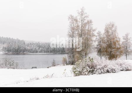 Scenario del lago nordico all'inizio dell'inverno con betulle e cespugli leggermente ricoperti di neve, foglie autunnali contrastanti sotto un cielo nebbioso. Foto Stock