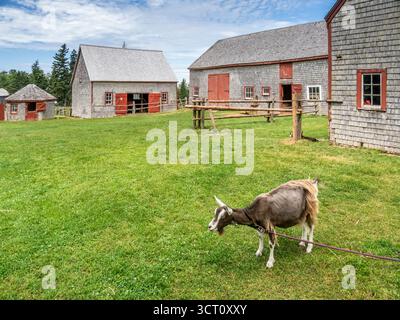 Orwell Corner Historic Village un affascinante villaggio storico che raffigura la vita negli anni '1890 sull'Isola del Principe Edoardo, Canada Foto Stock