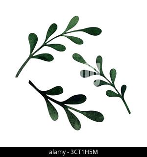 Set di foglie verde acquerello. Raccolta di foglie e rami verdi isolati su sfondo bianco. Perfetto per progetti botanici, progetti naturalistici, ele Foto Stock