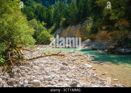 Fiume Smeraldo Soca nel parco nazionale del Triglav in Slovenia Foto Stock