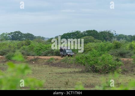 Un safari in jeep su una strada sterrata in un parco nazionale dello Sri Lanka, circondato da lussureggianti foglie verdi e un cielo nuvoloso. L'immagine cattura l'essenza di un Foto Stock