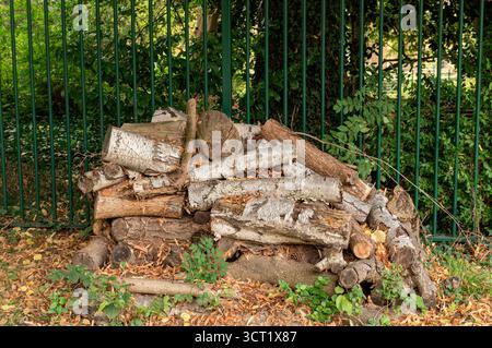 Giardinaggio - un mucchio di legno morto nell'angolo del giardino fornisce l'habitat per tutti i tipi di fauna selvatica che possono beneficiare il giardiniere. , settembre, autunno, autunno, casa, animali, disordinati, tronchi, tronchi, tronchi, marciume, silvicoltura, verde, legname, pelo, legno, alberi, vecchi, tronchi, legname, giardini Foto Stock
