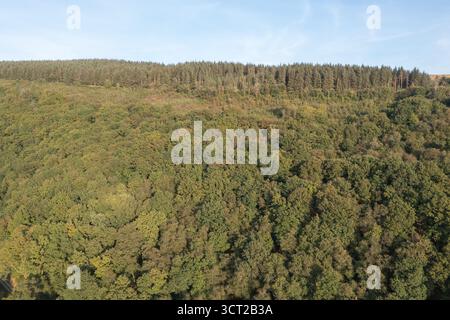 Vista aerea del legno deciduo e delle conifere Graig-ddu, Cothi Valley, Carmarthenshire, Galles, Regno Unito Foto Stock