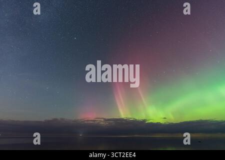 Spettacolo celeste: La colorata aurora boreale con luci rosa e verdi danzano nel cielo stellato sul Mar Baltico, Estonia. Foto Stock