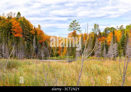 Montagna colorata con alberi dai colori autunnali che si riflettono in un piccolo lago del Quebec, Canada Foto Stock