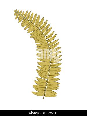 foglie di felce isolate su sfondo bianco Illustrazione Vettoriale