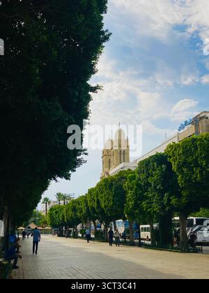 Passerella alberata lungo Avenue Habib Bourguiba nel centro di Tunisi, Tunisia. Verde urbano, sfondo della cattedrale. 22 settembre 2025 Foto Stock