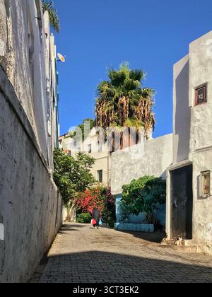 Colorato vicolo a gradini nella vecchia Medina di Tangeri, Marocco, fiancheggiato da architettura tradizionale. Fotografato l'8 novembre 2019. Foto Stock