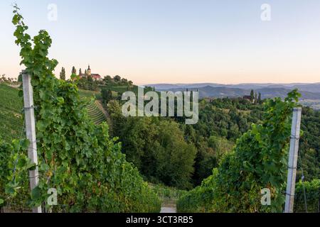 Vigneti panoramici e villaggio a Kitzeck, Stiria meridionale, Austria Foto Stock