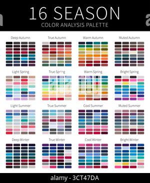 Campioni di tavolozza analisi colore 16 stagioni per i tipi freddo, profondo, luminoso e vero inverno, luminoso, caldo, leggero, Autunno morbido e Estate Illustrazione Vettoriale
