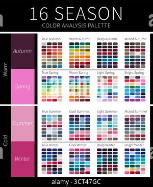 16 tavolozza di analisi del colore delle stagioni per inverni, molle, autunnali ed estati Illustrazione Vettoriale