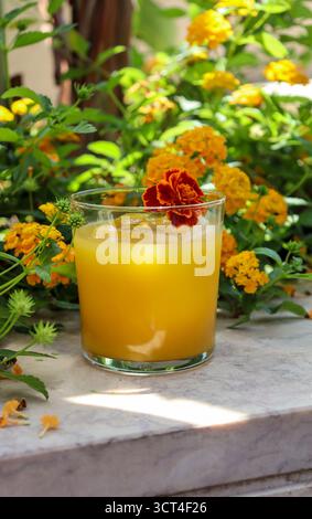 Un rinfrescante cocktail tropicale giallo-arancio servito in un bicchiere trasparente con un grande cubetto di ghiaccio, guarnito con un vivace fiore rosso e arancio di calendula. Foto Stock