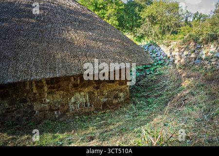 Primo piano del primo angolo della roundhouse irlandese, tetto in paglia, muri in pietra, nessun popolo, Irish National Heritage Park, Wexford. Foto Stock