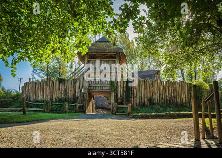 Porta fortificata ad anello ricostruita con torre di guardia e palizzata di legno alla luce del pomeriggio autunnale, Wexford, Irlanda. Foto Stock