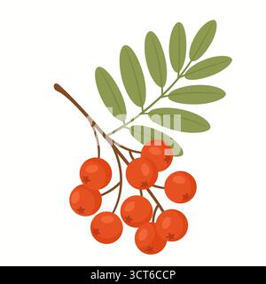 Ramoscello di Rowan con bacche rosse e foglie verdi in stile piatto Illustrazione Vettoriale