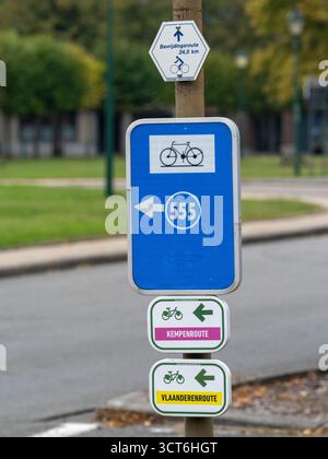 Segnaletica per la pista ciclabile con svincolo numero 555 e indicatori di direzione per Kempenroute e Vlaanderenroute a Leopoldsburg, Limburgo, Belgio – 2 ottobre Foto Stock