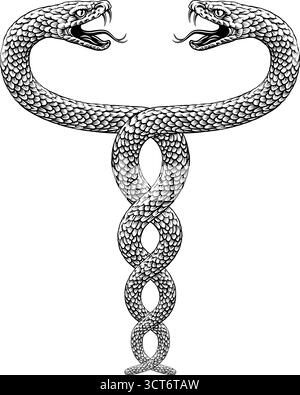 Snakes Two Intertwined Helix Vintage Illustration Illustrazione Vettoriale