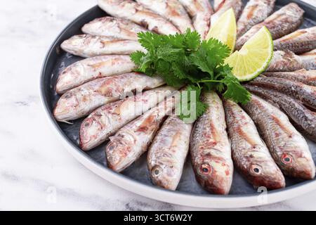 Pesce di triglia fresco, disposto su un ampio piatto, guarnito con fette di lime e coriandolo, vista dall'alto Foto Stock