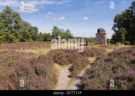 Landschaft am Hermann Loens Denkmal am Wietzer Berg in der Lueneburger Heide waehrend der Heidebluete. Suedheide, Niedersachsen, Deutschland Foto Stock