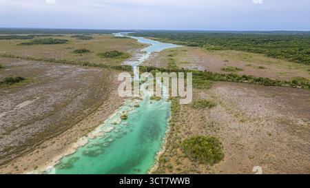 Bacalar, Messico, Quintana Roo, il fiume Verde scorre attraverso un paesaggio arido e arido. L'acqua è cristallina e il cielo è coperto Foto Stock