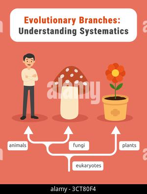 Infografica evolutiva sugli alberi: Umani, funghi e piante Illustrazione Vettoriale