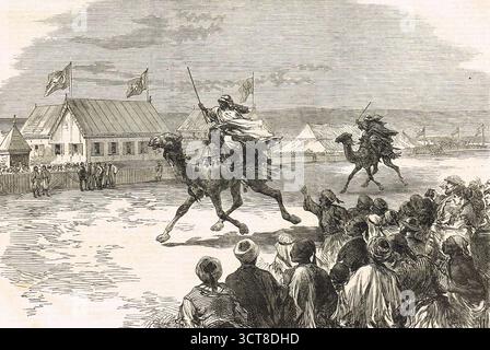 Feeti del viceré d'Egitto al Cairo: La corsa Dromedary. Parte degli eventi per celebrare l'apertura del canale di Suez il 17 novembre 1869 Foto Stock