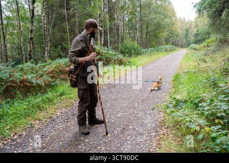 Guardiacaccia con fucile e cane sul sentiero forestale nella foresta scozzese Foto Stock