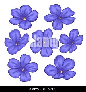 Bellissimo set di fiori vettoriali. Colorata collezione floreale con fiori Illustrazione Vettoriale