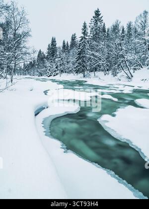 Una tranquilla scena invernale presenta un fiume che si snoda attraverso una foresta innevata in Svezia. Il ghiaccio denso delinea le rive del fiume, mentre gli alberi si stagliano Foto Stock