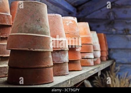Una collezione di vasi di piante impilati su uno scaffale in un capannone, illuminati dalla luce di una porta aperta Foto Stock