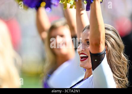 Baltimora, Stati Uniti. 5 ottobre 2025. Una cheerleader dei Baltimore Ravens si esibisce contro gli Houston Texans durante il primo quarto all'M&T Bank Stadium di Baltimora, Maryland, domenica 5 ottobre 2025. Foto di David Tulis/UPI credito: UPI/Alamy Live News Foto Stock