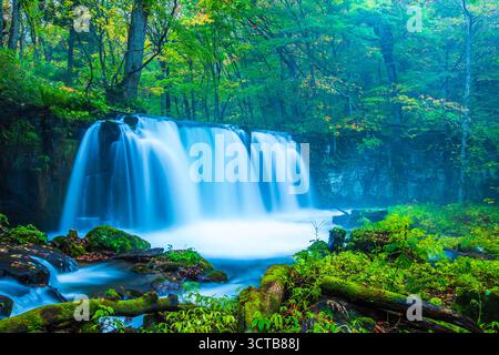 Gola di Oirase e cascate di Choshi in autunno (prefettura di Aomori) Foto Stock