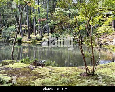 Il giardino di muschio del tempio Saiho-ji a Kyoto, Giappone. Questo tempio è comunemente indicato come Koke-dera o Tempio Moss. Foto Stock