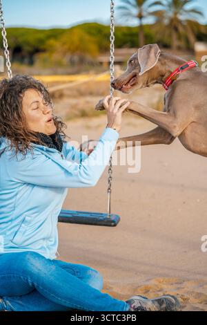 Il cane Weimaraner è entusiasta e salta per salutare la sua proprietaria, seduta sulla sabbia accanto a un set di altalene, un legame intenso e un affetto giocoso Foto Stock