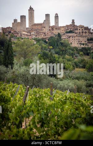 Città storica di San Giminiano con torri sopra i vigneti in una giornata estiva. Provincia di Siena, Toscana, Italia Foto Stock