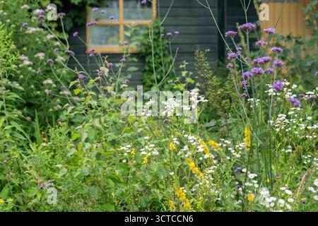 diversi tipi di fiori nel giardino Foto Stock