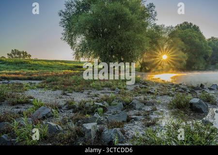 Una splendida alba sulle rive del Danubio. Il sole splende tra gli alberi mentre la nebbia si libra sull'acqua. Piante verdi e pietre sono circondate Foto Stock