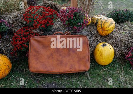 Questa immagine mostra una pittoresca scena autunnale con una borsa in pelle vintage, zucche colorate e fiori vivaci, tutti splendidamente disposti su una Foto Stock