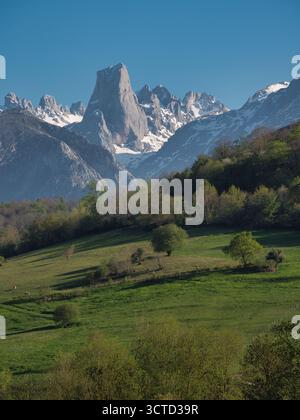 Vista idilliaca delle sorgenti del picco Naranjo de Bulnes - l'iconico Picu Urriellu e la catena montuosa innevata dei Picos de Europa, vista da un verde rigoglioso e ondulato Foto Stock