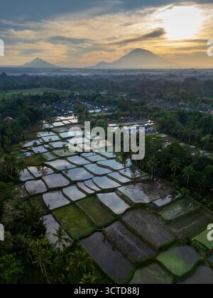 Vista droni dell'alba sulle risaie di Ubud Bali Indonesia Foto Stock