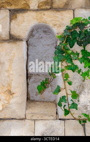 Primo piano di un vecchio muro di pietra con una stretta nicchia ad arco parzialmente coperta da edera arrampicata, che combina il verde naturale con l'architettura storica in un ru Foto Stock