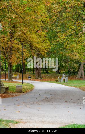 Un parco tranquillo caratterizzato da un sentiero curvo fiancheggiato da panche e lampioni, circondato da alberi autunnali con fogliame dorato e verde, ideale Foto Stock