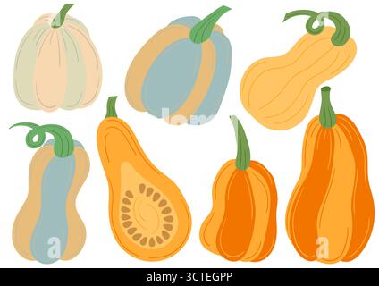 Zucca. Serie di illustrazioni piatte a colori. Design per cartoline, volantini, striscioni, decorazioni per le stanze. Icone, cartelli adesivi spille logo Illustrazione Vettoriale