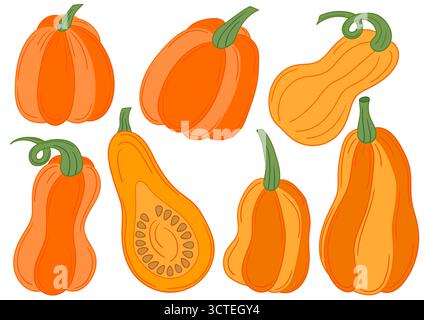 Zucca. Set di illustrazioni a colori in stile disegno a mano. Design per cartoline, volantini, striscioni, decorazioni per le stanze. Icone, cartelli, logo spille Illustrazione Vettoriale