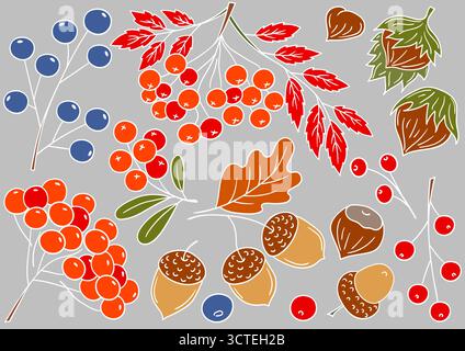 Frutta autunnale, frutti di bosco e noci. Serie di illustrazioni a colori in stile disegno a mano su sfondo grigio. Contorno bianco. Progettazione di cartoline, volantini e b Illustrazione Vettoriale