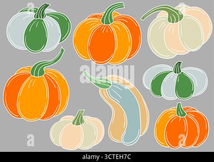 Zucca. Serie di illustrazioni a colori in stile disegno a mano su sfondo grigio. Contorno bianco. Design per cartoline, volantini, striscioni. Icone, cartelli, adesivi Illustrazione Vettoriale