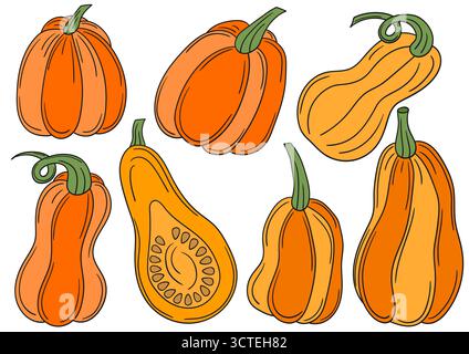 Zucca. Set di illustrazioni a colori in stile disegno a mano. Contorno nero. Design per cartoline, volantini, striscioni, decorazioni per le stanze. Icone, cartelli, adesivi, Illustrazione Vettoriale