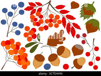 Frutta autunnale, frutti di bosco e noci. Serie di illustrazioni a colori. Design per cartoline, volantini, striscioni e decorazioni delle stanze. Icone, cartelli, adesivi e spille Illustrazione Vettoriale