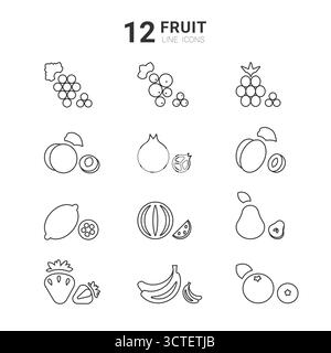 Questa collezione presenta dodici icone di linea che rappresentano diversi frutti. Ogni icona mostra un frutto unico che include uva, melograno, limoni e fragole, il tutto in uno stile minimalista. Illustrazione Vettoriale